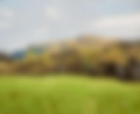 Monument Mountain from Ingleside Cottage (preview)