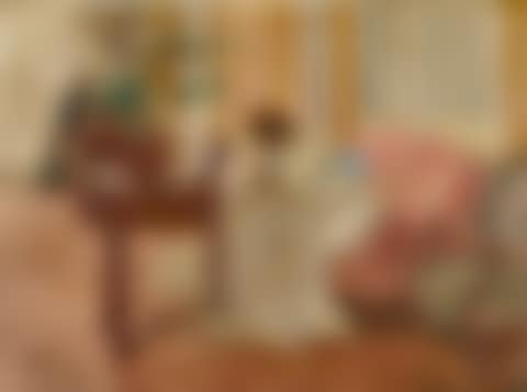 La couseuse (preview)