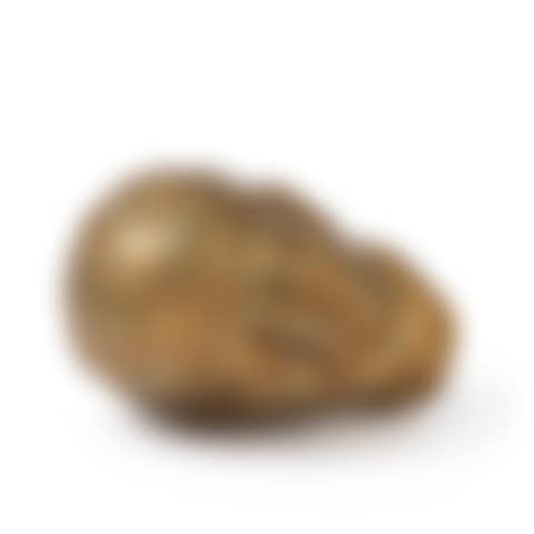 Sleeping Head (Testa Addormentata) (preview)