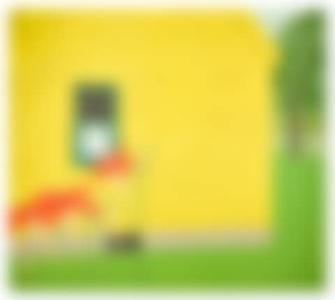 The Yellow House (preview)