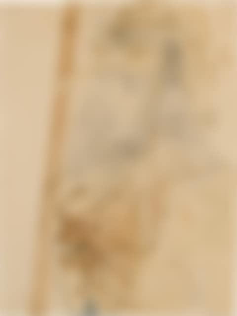 Condottière (Portrait of an Unknown Young Nordic) (preview)