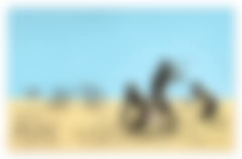 Trolley Hunters (preview)