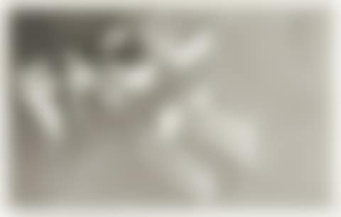 Face It (preview)