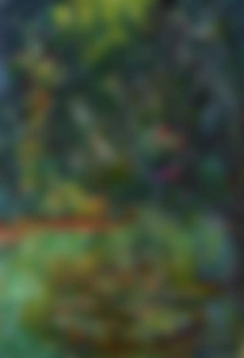 Coin du bassin aux nymphéas (preview)