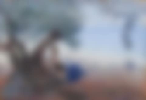 Figura bajo un uvero (preview)