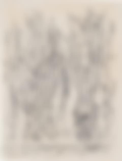 Forêt (preview)