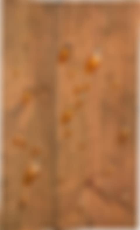 Bacchus (preview)