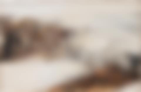 14.10.69. (preview)