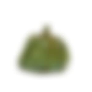 PUMPKIN (preview)