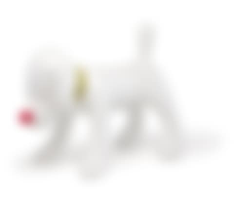 Doggy Radio (preview)