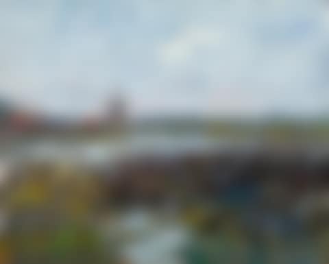 Moulin dans les environs de Rotterdam (preview)