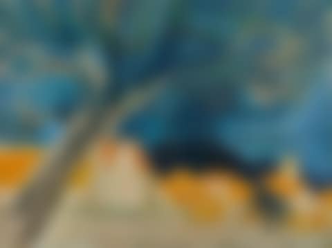 Village du Tardenois (preview)