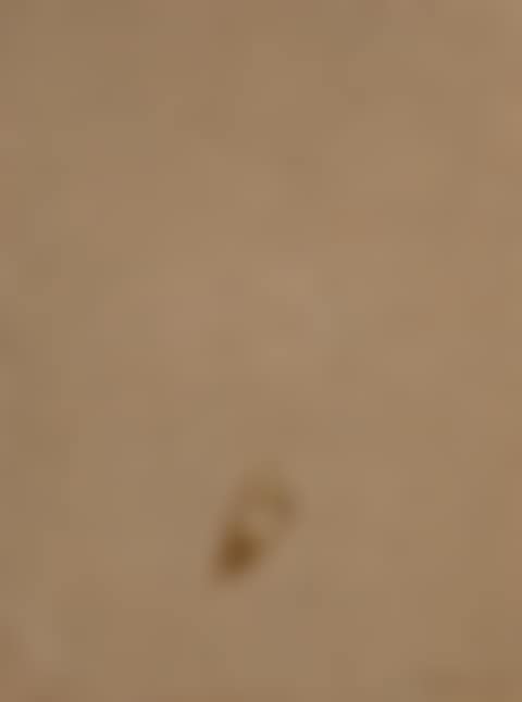 Waterdrop (preview)