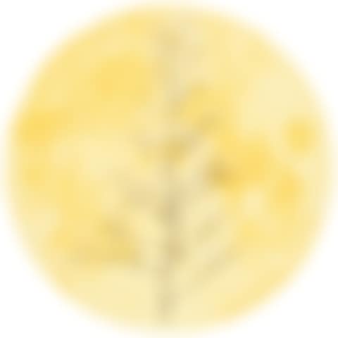 The Moon and Weeds1 (preview)