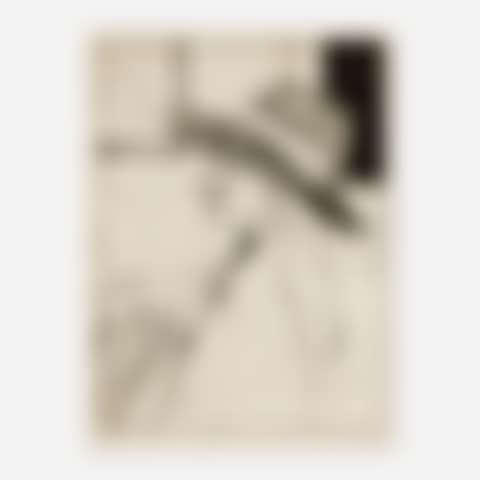 #5 (Phyllis Wears a Hat) from 41 Etchings Drypoints by Richard Diebenkorn (preview)