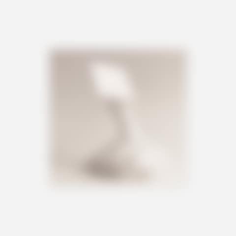 Laila (individual) (from Individuals) (preview)
