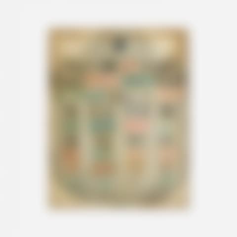 fractional currency shield (preview)
