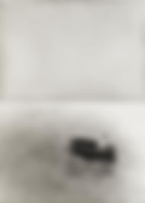 Seeds from Hegel's Cellar (preview)