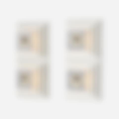 Sconces, pair (preview)
