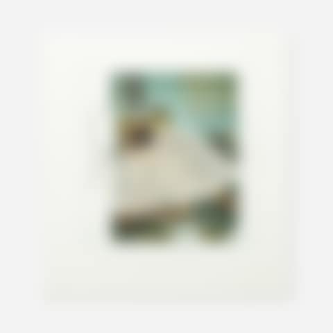 Turtle (preview)