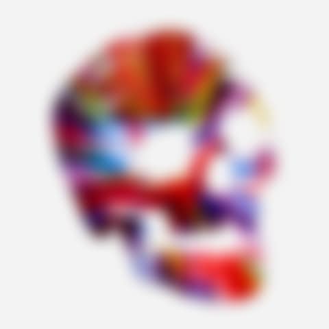 Skull Spin Painting (preview)
