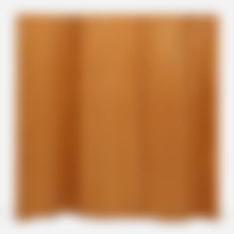 Screen, model 100 (preview)