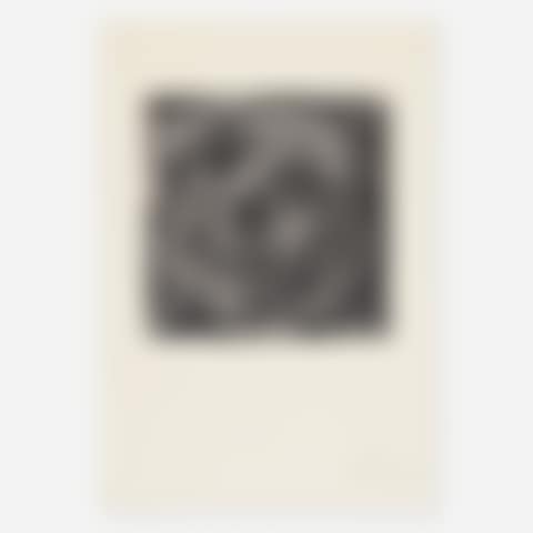 Target from the For Meyer Schapiro portfolio (preview)