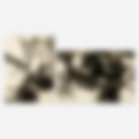 Three Beds - Closed Ward #14 and Figures Fixed or Figure Falling (two works) (preview)