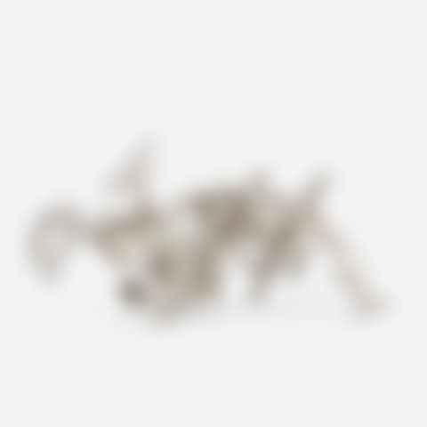 Moon Dog (preview)