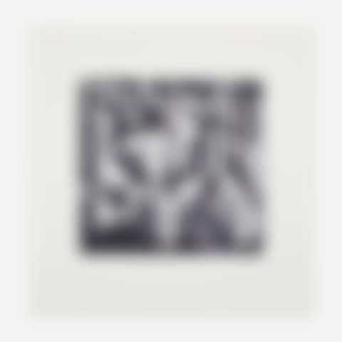 Laboratory Still Life No. 4 (preview)