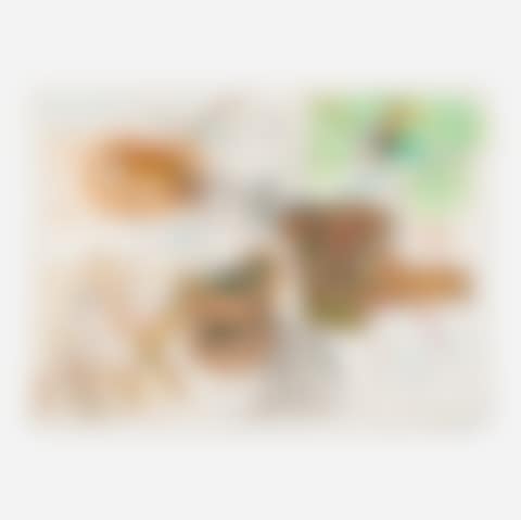 Bronx Zoo (preview)