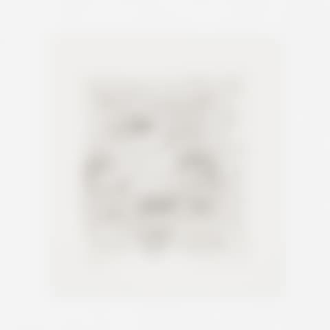 Untitled (from The Valley) (preview)