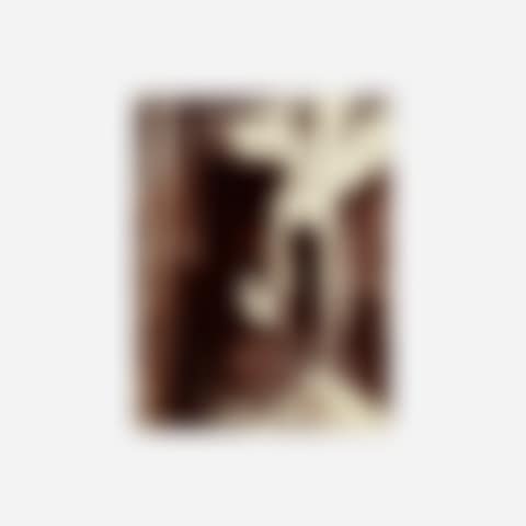 Cour 12 rue Pierre du Lard (preview)