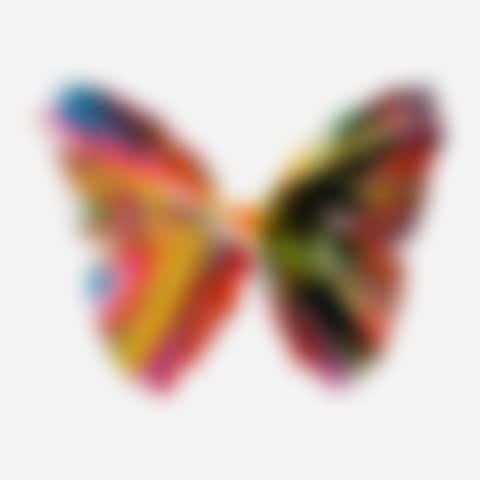 Butterfly Spin Painting (preview)