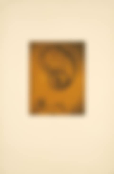 Fur documenta III (preview)