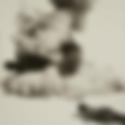 Smoke, Tree, Shadow and Person (preview)