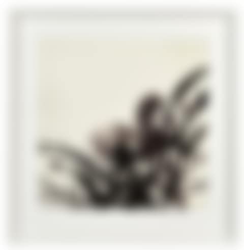 Sans titre (preview)