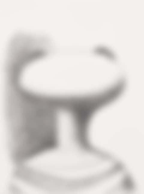 Cat head (preview)