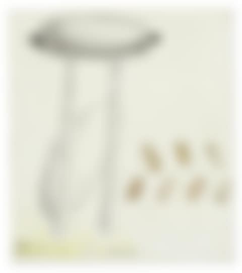 Senza titolo (preview)