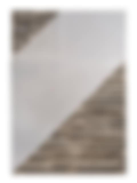 Immagine trasversale (preview)