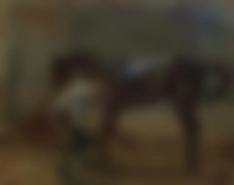 A groom in the stables with 'Betty Mark' (preview)