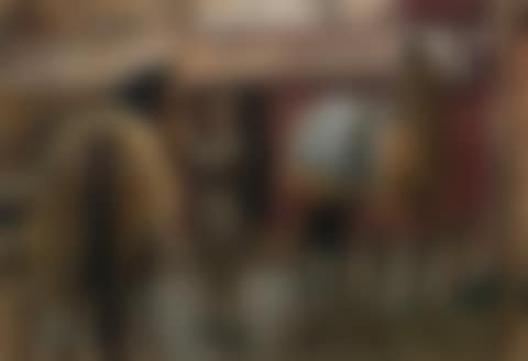 Study for 'The Second Set' (preview)