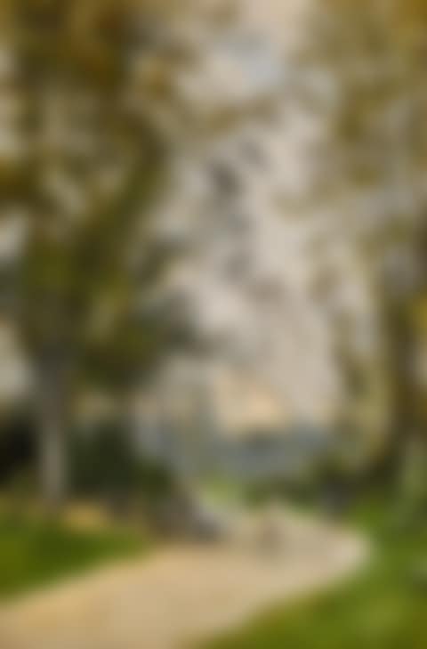 Le Parc du Trocadéro (preview)