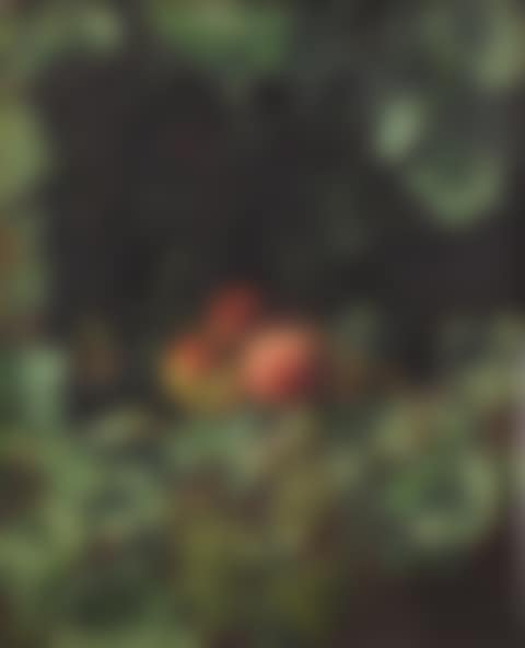 Peaches and Hazlenuts surrounded by a Grape Vine (preview)