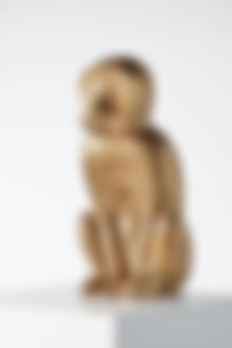 Singe Attentif I (preview)