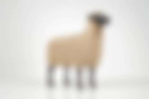 Mouton de Pierre (preview)