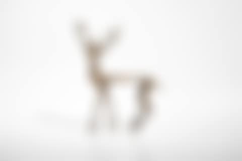 Cerf (preview)