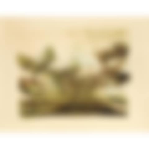 COMPOSITION (preview)