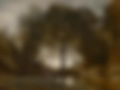 Nymphes et faunes (preview)