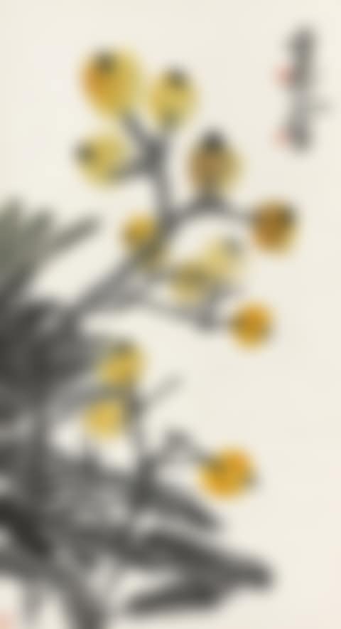 Loquats (preview)